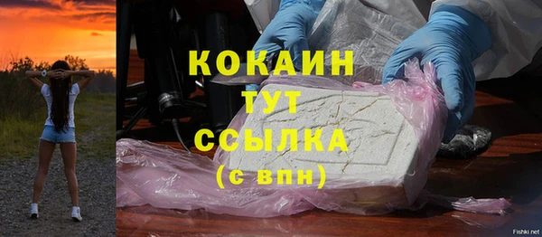 твердый Армянск