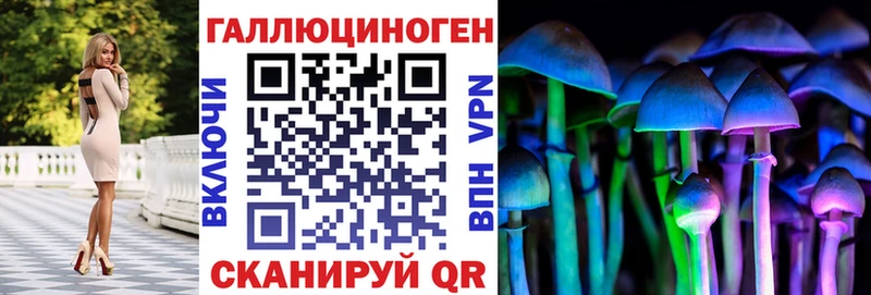 Псилоцибиновые грибы Psilocybe  hydra сайт  Урень 